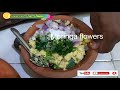 முருங்கைப்பூ வடை drumstick flower vadai in tamil murungai poo vadai in tamil