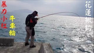 2018.3.4花蓮港東堤釣遊活動釣友們一些中魚影片Taiwan Hualien fishing