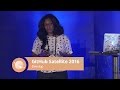 Prototyping the Internet of Things - GitHub Satellite 2016