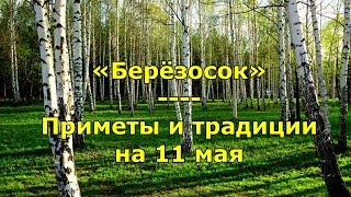 Народный праздник «Берёзосок»  Приметы и традиции на 11 мая