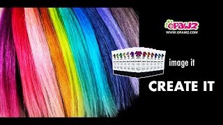 OPAWZ Permanent Pet Hair Dye Color Mixing Guide