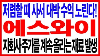 [에스와이] 저렴할 때 사서 대박 수익 노린다! 자회사 주가를 계속 올리는 재료 발생 #에스와이 #에스와이주가 #에스와이주가전망 #에스와이목표가 #에스와이전망 #종목추천 #주식추천