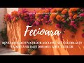 Fecioara - Revelația motivațiilor ascunse ale celorlalți vă ajută să dați drumul greutăților[CC]