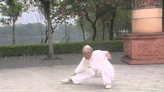 BaGua Zhang Sun ZhiJun ( 孙志君 八卦六十四掌 )