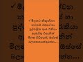 රජයේ හා පුද්ගලික රැකියා ඇබෑර්තු 2025 ජනවාරි මාසය සඳහා 03 කොටස jobguidesrilanka jobguidelk