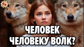 Волчьи законы, которые нам стоит перенять ! 🐺 Тайны волчьей стаи