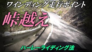 【峠越え：概要編#1】ワインディング走行ポイント【ハーレーライディング法】