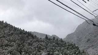 ウェザーリポート動画0211＠四国中央市（山間部11:12頃）まだ雪か