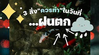 3 สิ่งควรทำหลังฝนตก@poomcarpfish มาบอกข้อแนะนำให้ครับ เพื่อ #ปลาคราฟที่รัก