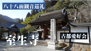 【八十八面観音巡礼➇室生寺】2025 冬 「十一面観音」✖ 八寺院 巡礼の旅