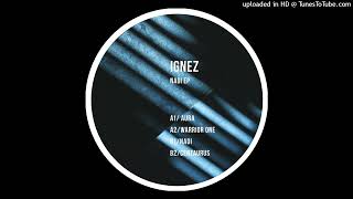 Ignez - Nadi  [Token Records]