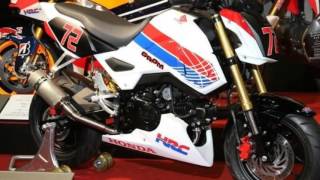 2017 Honda Grom / MSX 125 HRC Race Prepped Motorcycle Pictures | MSX125SF