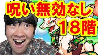 【ポコダン】18階 呪い無効リーダーなし「タワーオブポコロン　ヴァナヘイム編」【新スペシャルイベント開催中！】