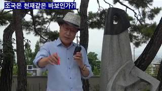 [단디해라] 조국은 천재같은 바보인가?!