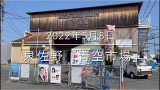 【泉佐野漁港 青空市場】鮮魚調査!?『大阪の台所』リアルを公開