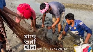 মাছে ভরা দ্বীপের খাল | পর্ব ১৮ | সিজন ২২ | সুন্দরবন | Belayet Sarder | Mohsin ul Hakim