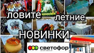 🛑СВЕТОФОР УДИВЛЯЕТ❗ГОРЫ НЕОЖИДАННЫХ НОВИНОК❗летний обзор❗