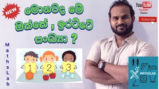 Odd Numbers \u0026 Even Numbers - ඔත්තේ සංඛ්‍යා සහ ඉරට්ටේ සංඛ්‍යා