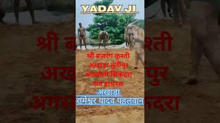 भारत केसरी रामेश्वर पहलवान अखाड़ा #practice#kushti #viral #shortsfeed