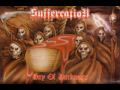 Suffercation - Death Of The Immortallity