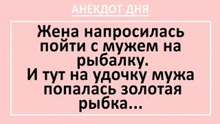 Анекдот дня! Мужик поймал золотую рыбку, захотел уличить жену в неверности... Позитив! Юмор! Смех!