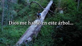 TU ANSIEDAD SE CALMARÁ. Escuchalo en las noches | Dios me hablo en este arbol