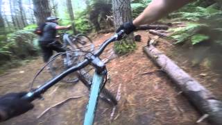 20150613 - Whakarewarewa Forest Ride #19