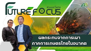 04 Future Focus Ep04 ผลกระทบจากการเผาในภาคการเกษตรไทยในอนาคต