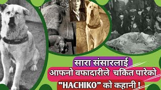 सारा संसारलाई चकित पारेको कुकुर - Hachiko Dog Real Story In Nepali