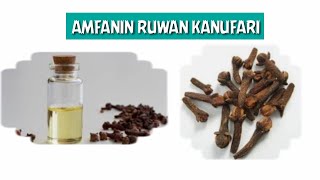 AMFANIN RUWAN KANUFARI..#gidanmagani_herbal #tilawatv