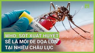 Sốt xuất huyết sẽ là mối đe dọa lớn tại nhiều châu lục | VTC16