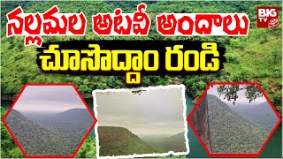 Nallamala Forest : నల్లమల అటవీ అందాలు చూసొద్దాం రండి  | BIG TV Mahabubnagar