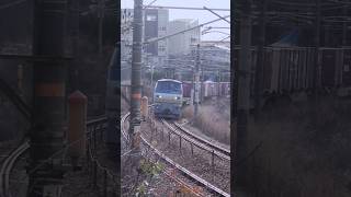 大好き警笛🎵🎵【EF66-125】🦈67ﾚ👋運転士さん、ありがとうございます😆　2024/02/27 山陽本線　大門→東福山　#jr貨物 #railway #警笛