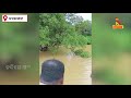 effect of heavy rainfall odisha fire u0026 disaster team rescues fisherman from trees in nayagarh