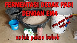 cara fermentasi dedak padi dengan EM4 untuk pakan bebek