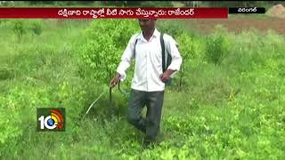 Young Farmer Rajender Cultivating Sri Gandham Trees | Using Ourganics | Warangal | 10TV