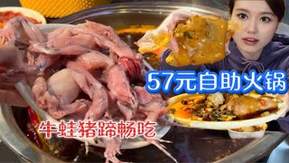 重庆57一位的自助火锅，生蚝蹄花牛蛙无限畅吃，还有五十多种水果