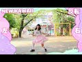 【める】new kawaii fruits zipper 踊ってみた【反転】