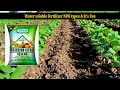 all types npk water soluble fertilizer npk 19 19 19 npk12 61 0 npk0 0 50 npk0 52 34 npk13 0 45