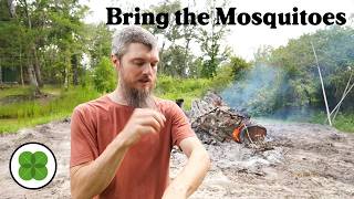 Google to Release 32 Millions Mosquitoes in Florida. My Take on it...