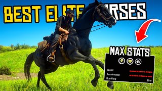 3 Best ELITE Horses in Red Dead Redemption 2