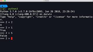 3 Python Interpreter