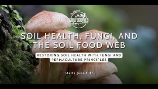 Soil Health, Fungi, and the Soil Food Web