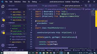 Angular 9 Pexel API Photo Search App Full Project