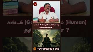 அண்டம் (galaxy)-பிண்டம் (human) தத்துவம் என்னை ?