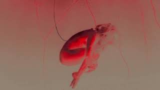 Midwinter - Eager Tides [Official Video]