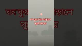 কুয়াশা ভেদ করে একসময় সূর্যোদয় হবে-- হতাশার কিছুই নেই।