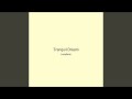 Tranquil Dream