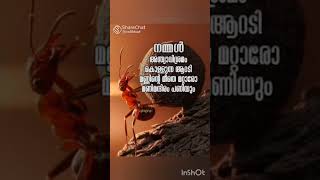 എന്തിനാ ഇങ്ങനെയൊക്കെ. നിർത്തിക്കൂടെ ഈ ദുഷിച്ച കളികൾ.. 😔😀