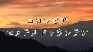 コロンビア エメラルドマウンテン 珈琲  #エメマン